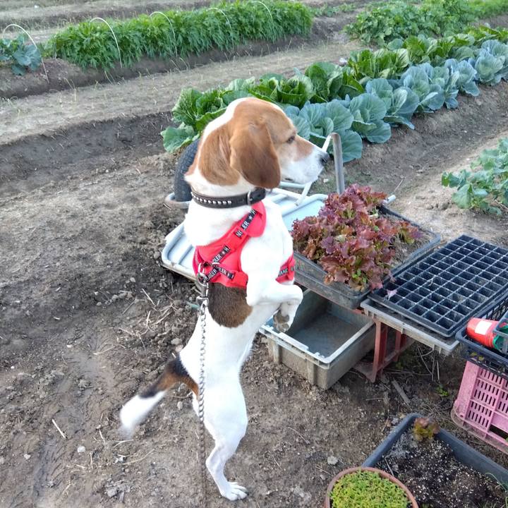 C93bacaf 62f7 4cec 9046 92935a6bc2f6 1699530373496