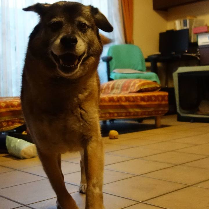 C93bf747 87bc 48e0 947e debc6f0f5c2e 1529232922023