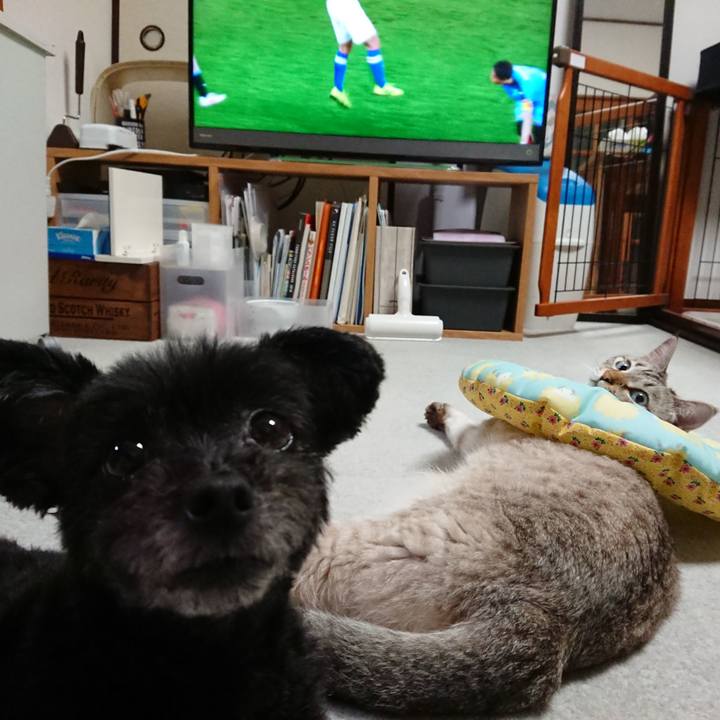 C93c4c18 efd2 4f25 802b cfdfec98e8ed 1563532858268