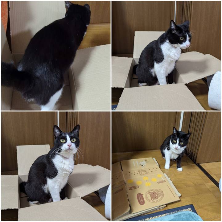 C93c4e6b b5d3 4d00 8141 8ba56c6387c1 1730368388455