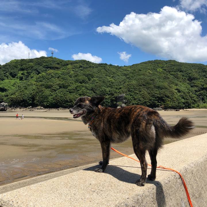 C93c646a d797 440a acbc 3435015cc679 1565597518675