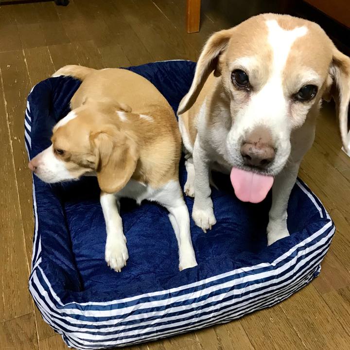 C93c65b4 ad82 4638 b551 0e11c7d24e14 1557492728196