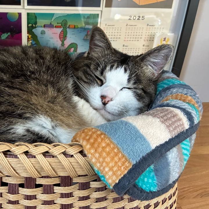 C93c7d7d d52b 47be 92ac 636ebd68a80d 1770708045940