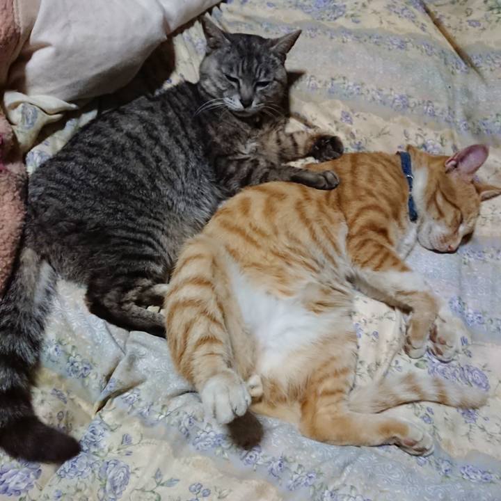 C93c8986 3fe5 4ec9 bc11 e4c68c77add3 1562763119810