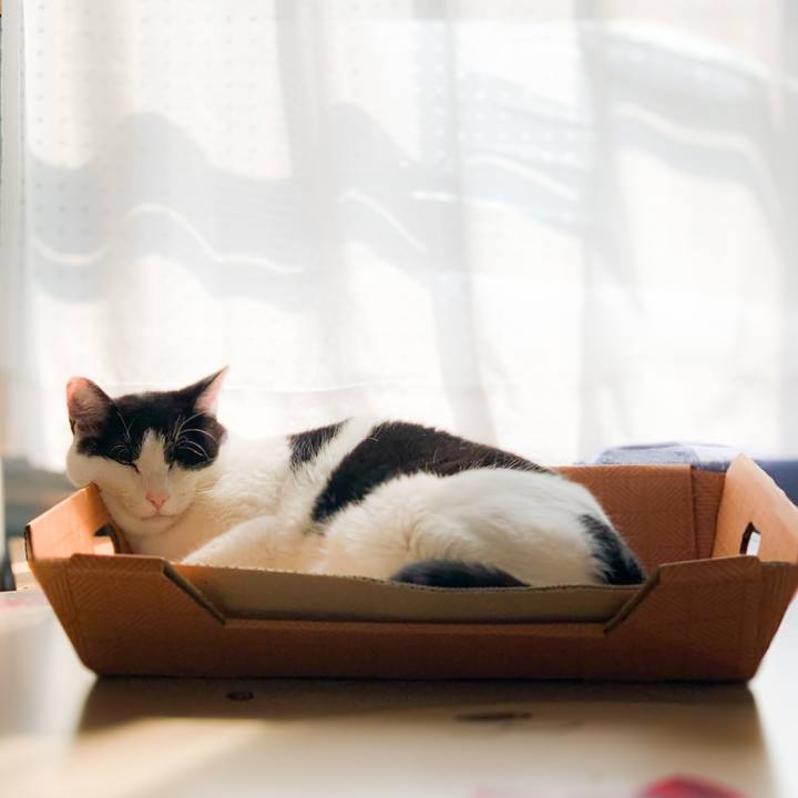 C93cbff9 176a 429f 8885 3707d8d95b79 1592529056692