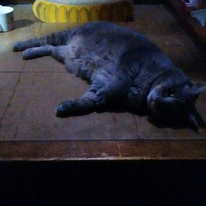 C93cc1fc 5c02 4a96 8ade e40d39afd175 1594217308042