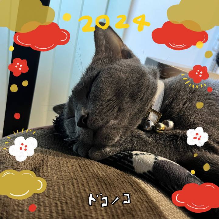 C93cd161 598a 47b5 930d 8a490aee5c42 1704200819141