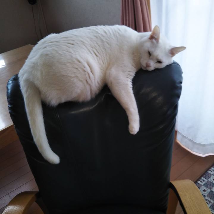 C93ce325 9fe9 44dc 9c7d b60ff0318fb2 1576026221088