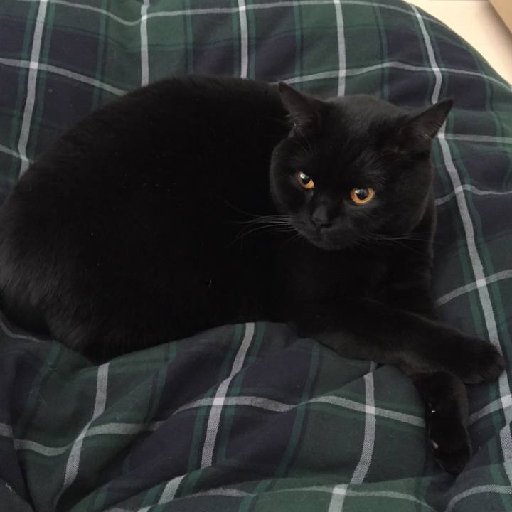 C93d4433 b140 4255 b75d 91ed35a879cd 1517405525999