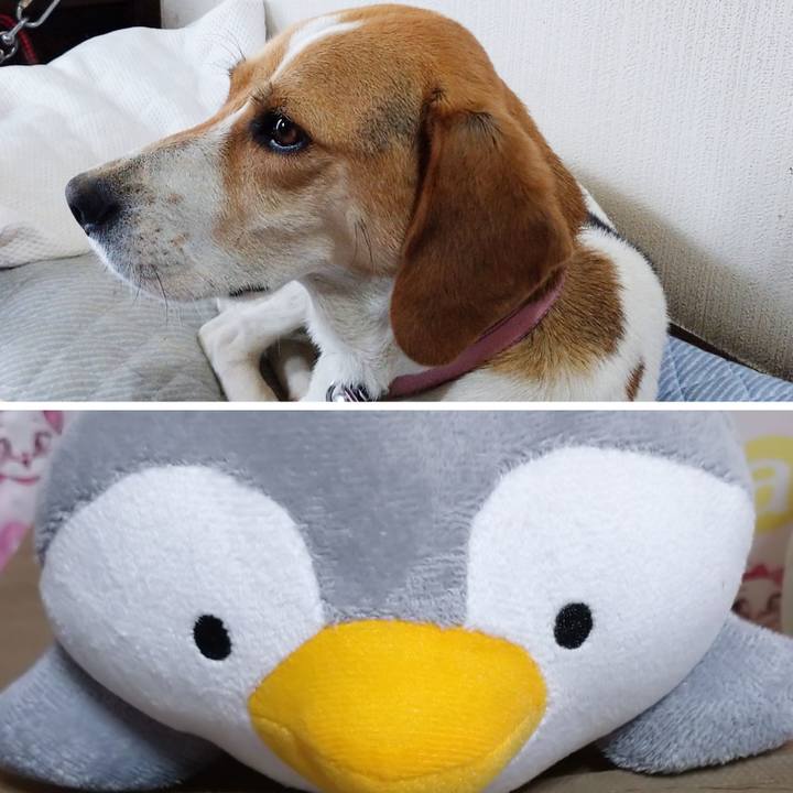 C93d56a0 8473 40c6 89fc 8c66c70eed39 1593254348118