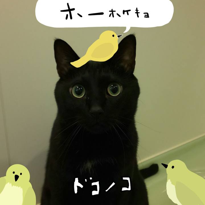 C93d7c18 9a47 4390 8bd8 8ec95aa0326c 1711161455105