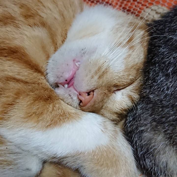 C93d809f dcb5 4c79 a7d5 6f3418b2cfe2 1571752531713