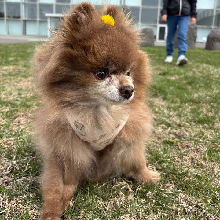 C93d9569 a293 49c1 958a e56748672c42 1775265464851