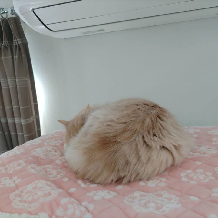 C93e60f9 a607 4145 acf0 c503dc15b56f 1706322522806