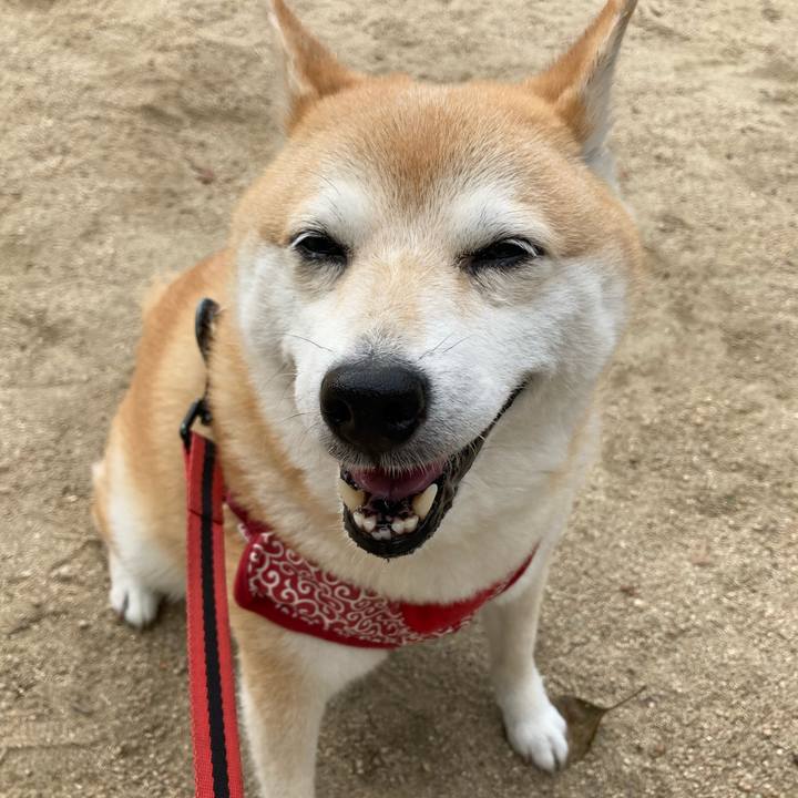 C93e72c4 60b3 425c 9f89 f3caf85e9326 1625566217696