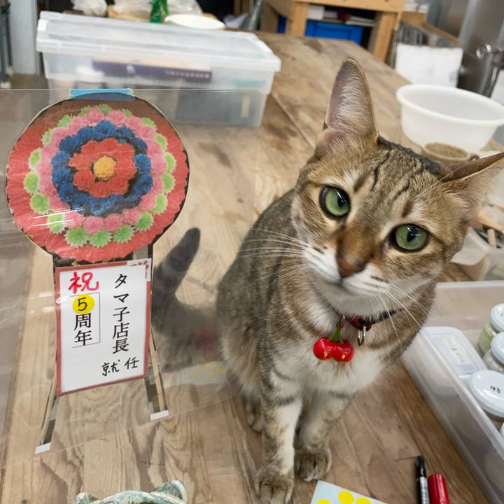 C93e9800 227a 41cc 8ed9 bce77db8f69f 1729246570245