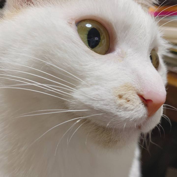 C93e9a14 0691 4ae1 a7fe d45e4d1e7327 1586082682806