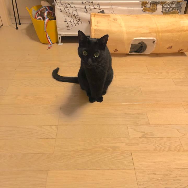 C93eb596 cd0a 460a 8489 83751af77e96 1555504060498