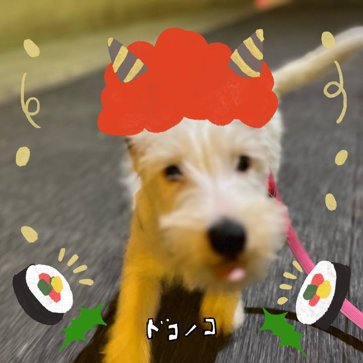 C93ed962 1faf 44e0 90a3 d142a84ed577 1706921929319