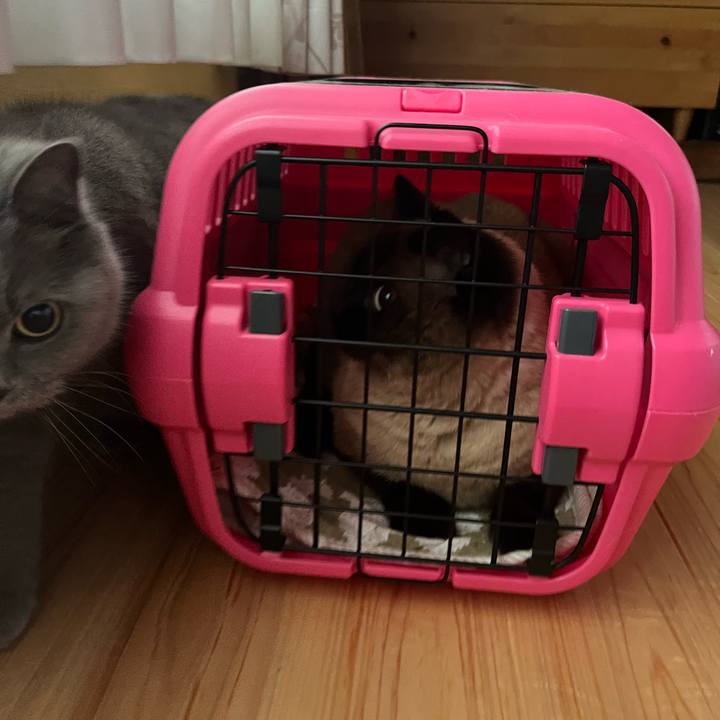 C93efca2 41ef 49fa bed7 6503926f8c73 1685505423918