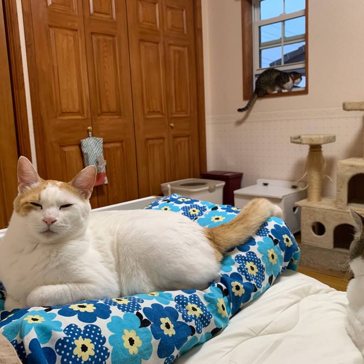 C93f3587 3ca4 4bf9 825f af0abdb648f9 1655843403706