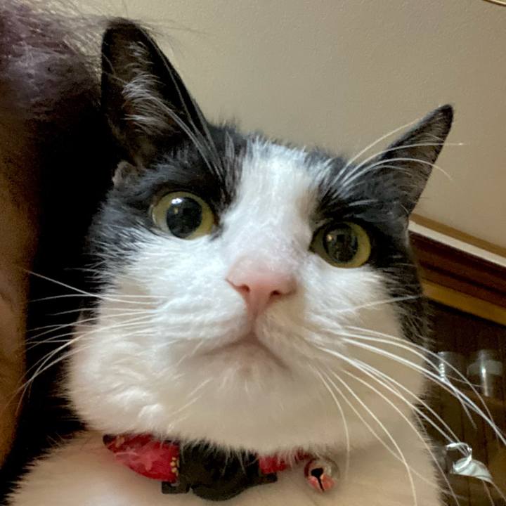 C93fc59c 50be 4ce6 a7cc 8fec850db4d0 1701213390608