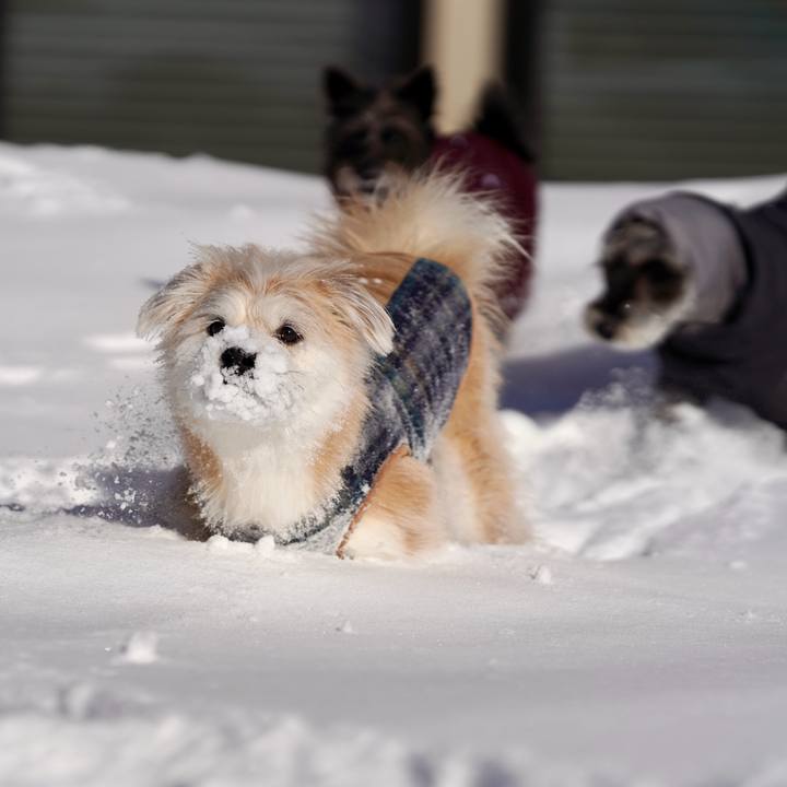 C93fd0f9 61d2 4f24 86fa 0114c487cee5 1770523241377