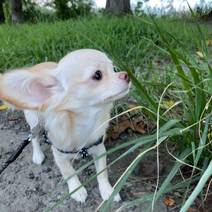 C94030b0 48fd 45da 8e8c 0d02b0de3d4f 1599731721175