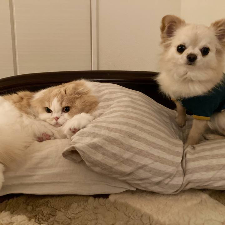 C9405d83 f28f 44c8 a992 7710a902b877 1609160746881