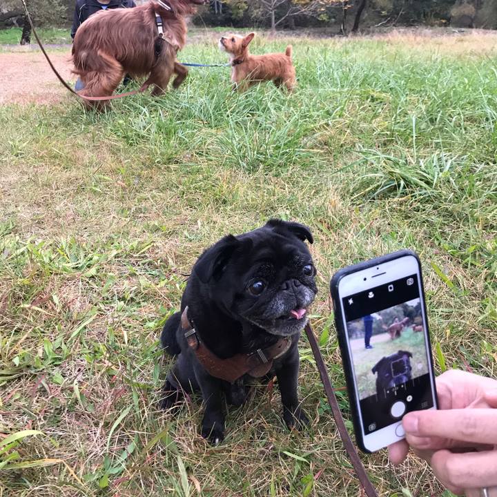 C940ac43 e440 49a9 b705 802e96b79223 1541587811680