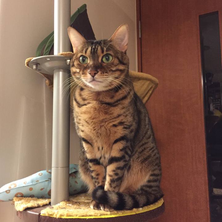 C940b50c eb62 4b18 b9f6 c1b50665fb67 1544219959232