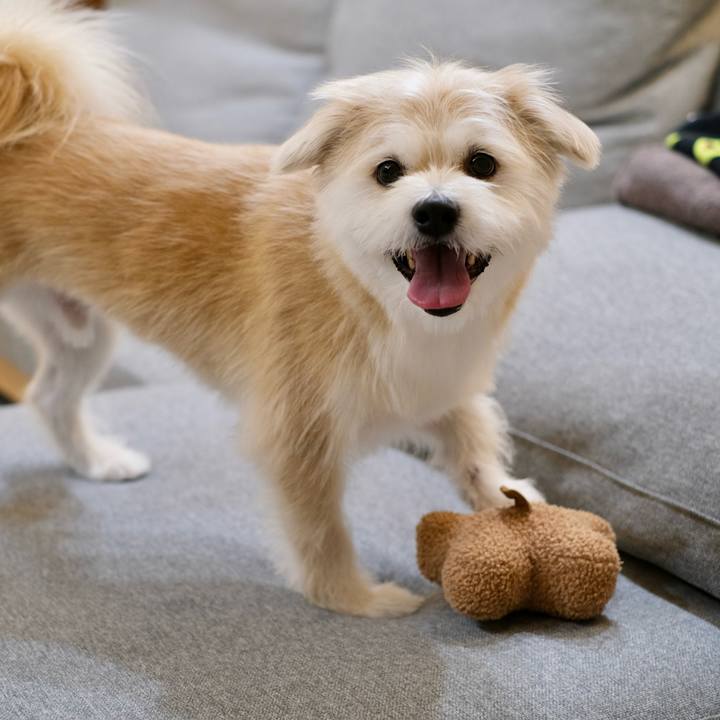 C940bd94 34ba 4bb1 9aac 1384a3673043 1774351181428