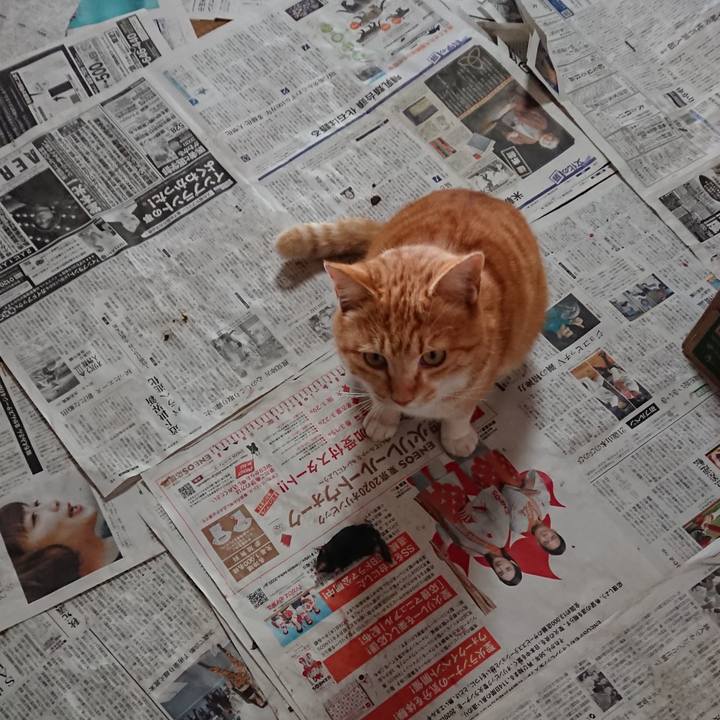 C940c009 1ad5 4afc ad5d 290b7a27db0b 1582499325474