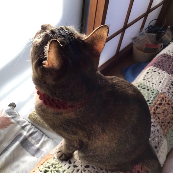 C940c0a7 424e 454b 9d98 38df152b293e 1641538770991