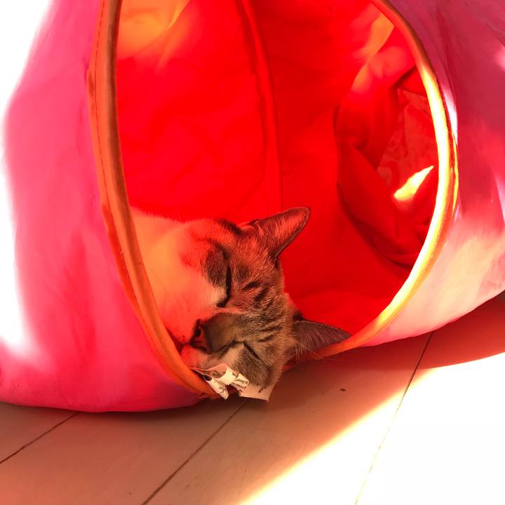 C940e06d 6027 4dc8 b245 5cab46d7f708 1518412208695