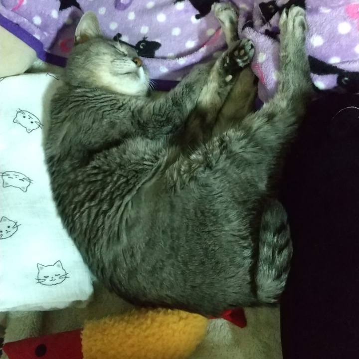 C940e8ff 7521 4671 9597 1adc17815142 1698235063267