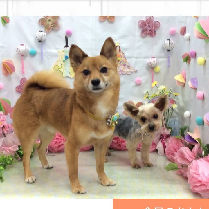 C9412487 cde8 43c9 8ec7 f93ebb27b77e 1583064213185