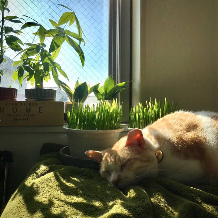 C9413f60 8836 4189 8338 1e6b26985023 1606917492866