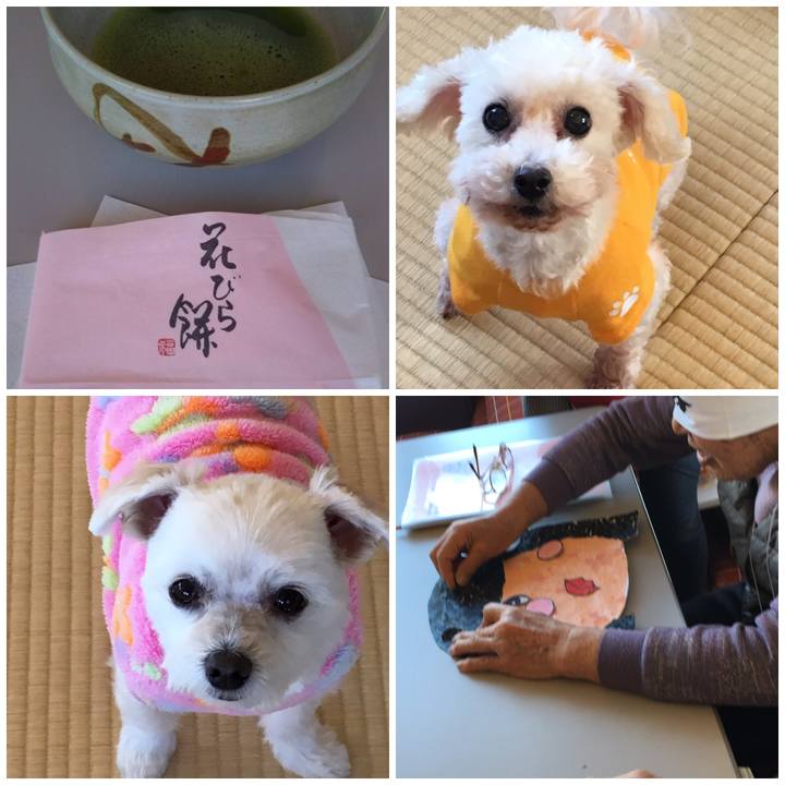 C94187f6 9db9 451c 86f1 bedc8fcf0130 1546840440162