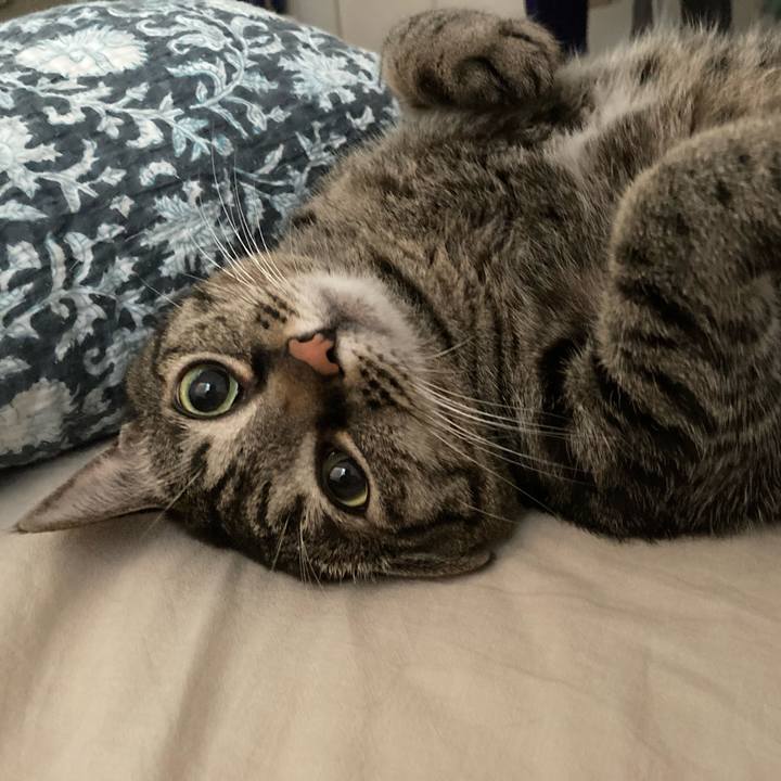 C9418e55 0e75 4855 bc8f d188762d2c40 1689544654407