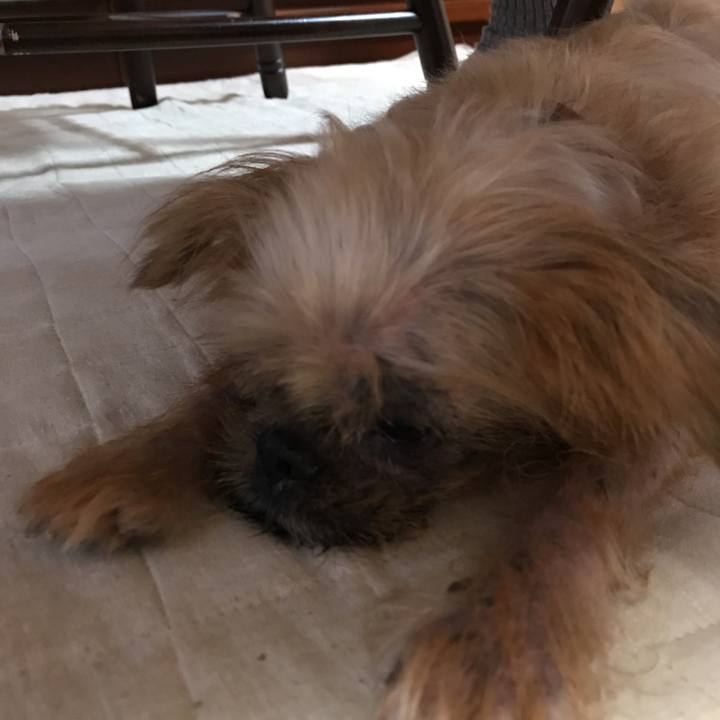 C9419126 a71e 4bc2 88cf c17505a2fd63 1537171062332