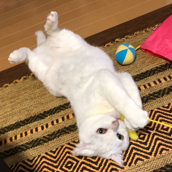 C9419c64 97ba 4b10 9f27 39a28c8b73fa 1524553635562