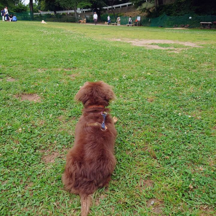 C941a539 49c2 463d ba6f 9a4cb7486780 1717895210472