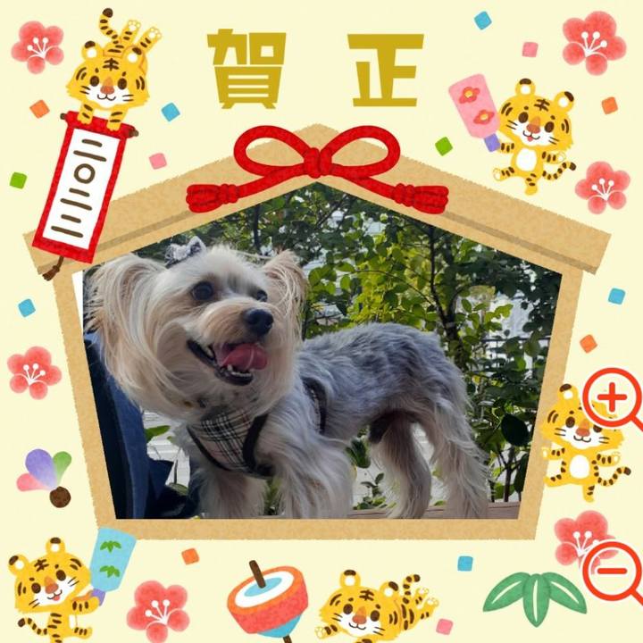 C941ca38 82a9 4fac 9959 345f0ff80569 1640984450759