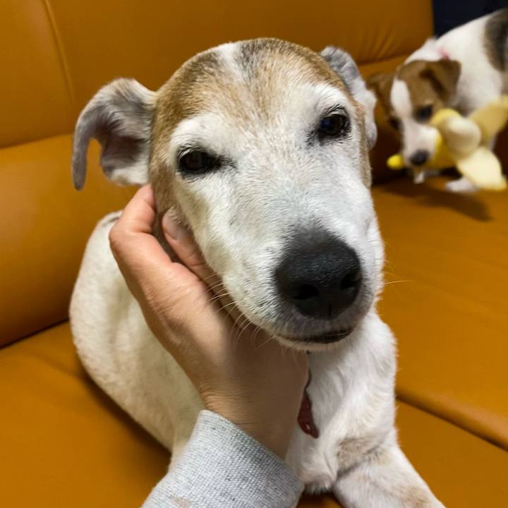 C9420058 c2e7 40f2 ad84 37e89d885abb 1617454410592