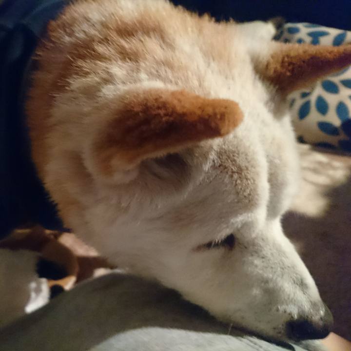 C94205f9 3d8b 48fc 8143 a80b46fa520f 1526342604706