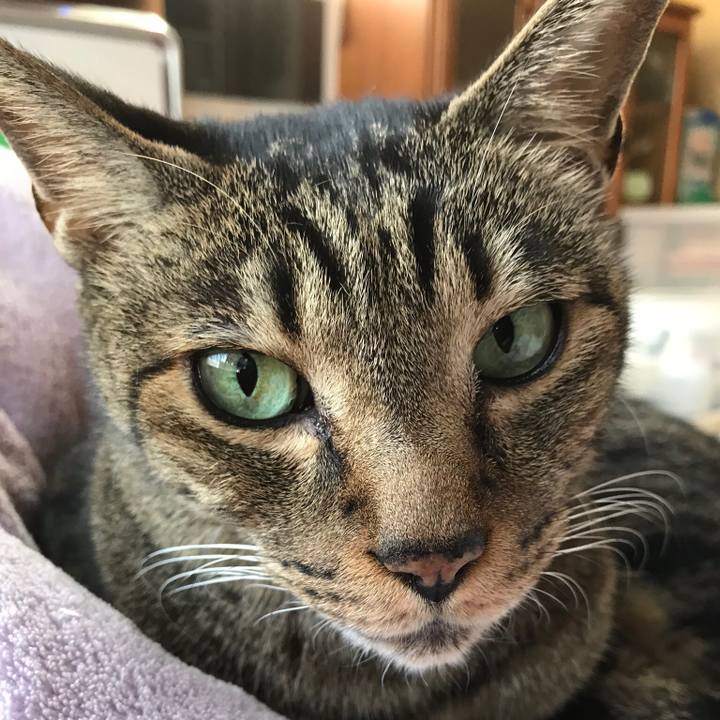 C9421d35 a893 4018 afaa 1c78b3ea9651 1510275531386