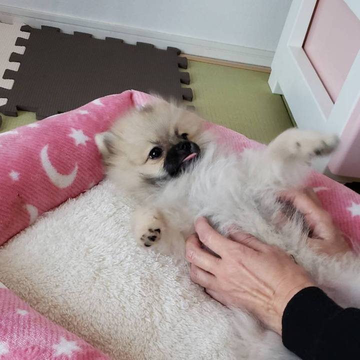 C942452d 738a 4afe b745 eaac4ebeb419 1612359369670