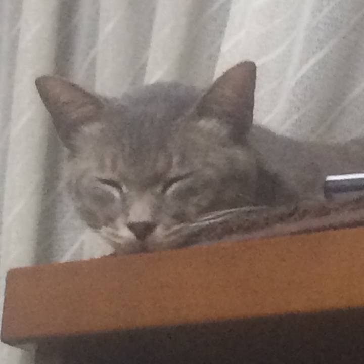 C94251d1 0314 4bb7 bbf3 df1308f8aaf4 1565534348314