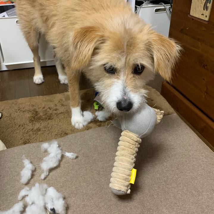 C9425683 3fc6 4e8c 8019 54e6998d923f 1578662732517